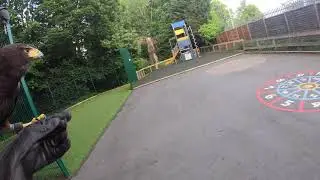 Falconry-Davenies school- Pest bird abatement programme
