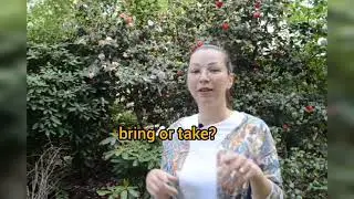 Какая разница между bring и take? Урок английского