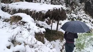 Nepali Mountain village life into the Rainy Season || Daily Activities of Rural village in Nepal🇳🇵