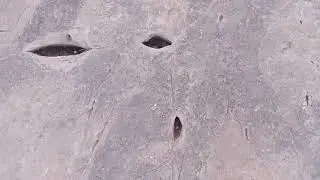 تحليل اشارة الوجه اشارة رائعة واروع مع الاستاذ ابو الجرار