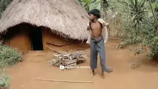 WA Vi fcbbb