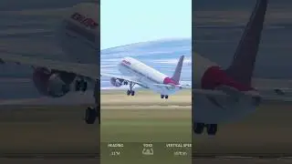 #freeroamzone #aviation #infiniteflight #gameplay #landing #xplaneflightsimulator #flightsimulator