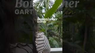 Botanischer Garten | Berlin