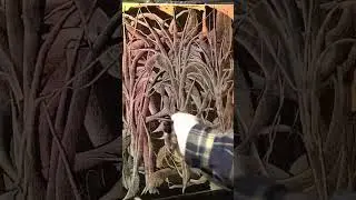 Abstract Tree by KREJCI #artist #paintings #timelapse