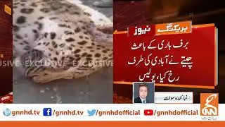 Leopard attacks local in Swat | GNN | 14 January 2020
