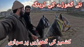 Training of our new horse || We explore the beauty of kashmir on horses #villagelife 
