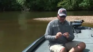 Bomber Fat Free Shad New Color Choices