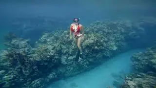 FREEDIVE JAM