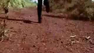 Aim for the Heart - 