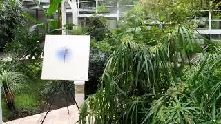 BI HEMISPHERIC ART INSTALLATION