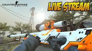 Aiming for the top - Counter Strike Global Offensive with facecam