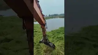 How China Runs Ducks Farms on Useless Weed. 🤯🦆 #duck #farming #ecofriendly