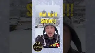 Are you getting SNOW? Mid April! | Snowing | #shorts