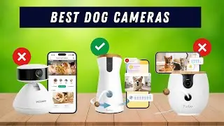 ✅ Лучшие камеры для собак: Камеры для собак (Руководство по покупке)