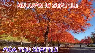 ОСЕНЬ В СИЭТЛЕ: M&Ugrave;A THU SEATTLE