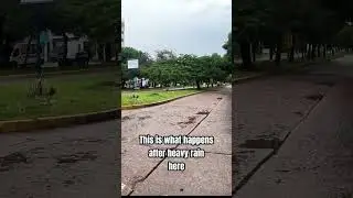 I Went Out After the Rain&hellip; This Is What I Found