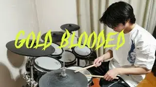 TSlayer - InVisions - Gold Blooded (Drum Cover)