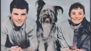 rick nelson life in pictures