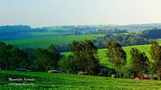 Paradise Green - Beautiful Kericho