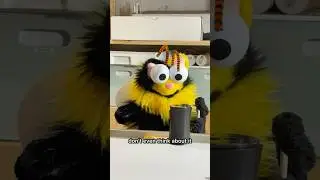Cat Bee is just a cat. Also the bowl wasn&rsquo;t empty, you could just see the bottom of it #cat #puppet