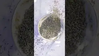 Lavender Vanilla
