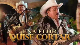 Una Flor Quise Cortar - Chuy Vega y los nuevos cadetes