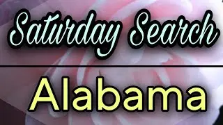 Saturday Search | Missing Persons | Alabama