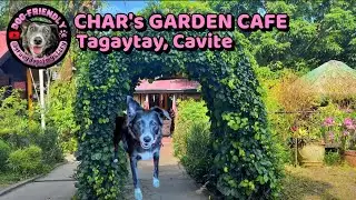 Dog-Friendly Dining in Tagaytay 🐾 Char's Garden Caf&eacute; 🍽️ Filipino cuisine brunch with hoomans