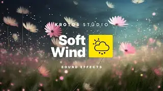 Soft Wind Sound Effect | 100% Royalty Free No Copyright Strikes