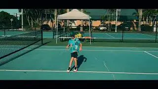 Zizu -  new year new beginning 