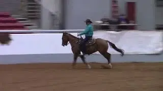 Charles King Sr first round EXCA Novice 2025 EXCA world riding Gus