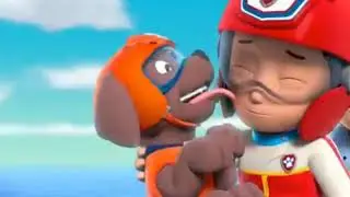 Paw patrol zuma licks Ryder's face (Twitter X style X HD 1440P)