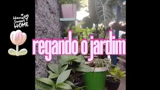 Molhando as plantas do jardim ❤️
