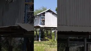 farm life #farming #dailyvlog #satisfying #countrylife #travel #buildingfarm #woodhouse