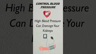 Understanding Chronic Kidney Diseases