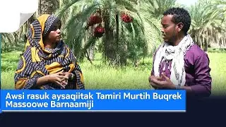 Awsi rasuk aysaqiitak Tamiri Murtih Buqrek Massoowe Barnaamiji