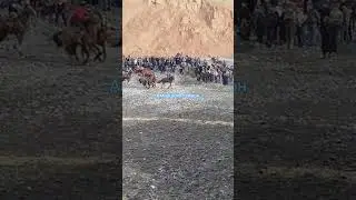 бузкаши дехаи кумок 14 12 2025