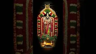 Sri Venkateshwar Swamy #govindanamalu #lordvenkateshwara #devotional #songs #trending #ytshorts #bgm