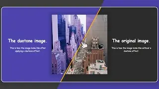 Build Split Screen Landing Page UI Design Using HTML CSS And JS