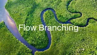 Flow Branching