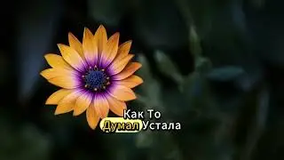 Все удивлялись спокойствию тёщи… пока одна тайна н