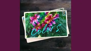 Colors