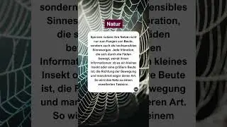 Wenn ein Netz h&ouml;ren kann #natur