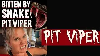 Snake Bitten by Pit Viper Survival Guide 