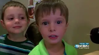 The goose who stole Wichita recess with her playground nest  (KSN News Wichita, Kansas)