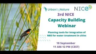 UbN NICE Webinar #3: