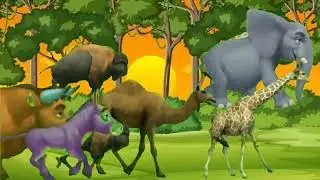 Horse tiger dog cat gay jungle ke janwar khatarnak jungle ke janwar