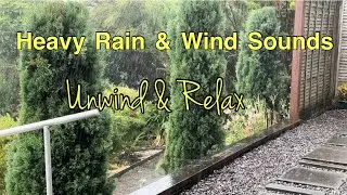 Heavy Rain and Wind Sounds for unwinding , relaxation , sleep Nature #nature #rain
