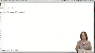 Executando programas em python (Nelson Lago)