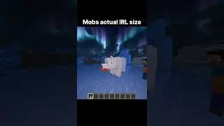Minecraft Mobs IRL Size 😮